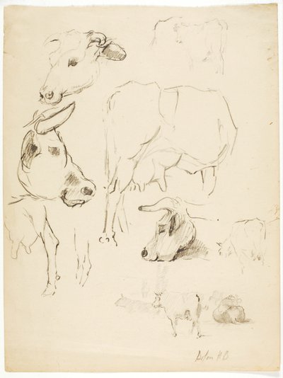 Cows by Solon H. Borglum