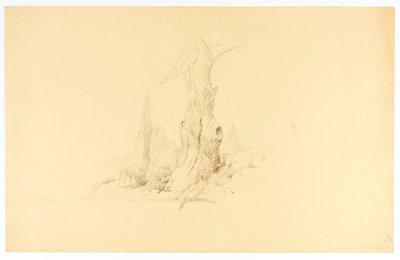Dead Tree and Colt Grazing by Solon H. Borglum