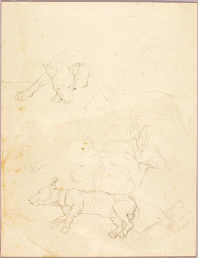 Dogs by Solon H. Borglum
