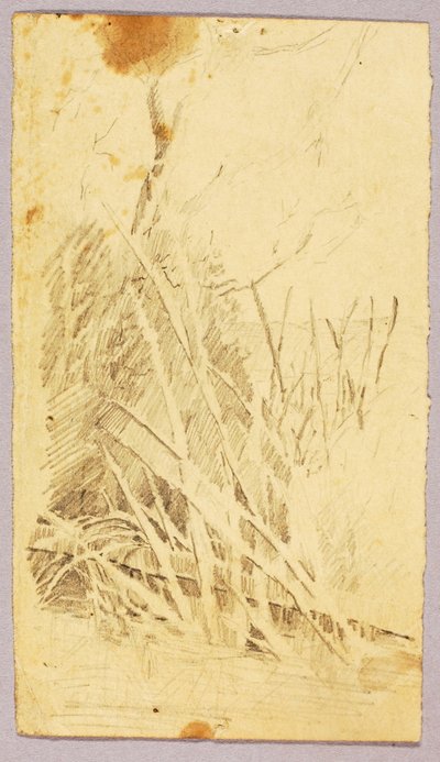 Foliage by Solon H. Borglum