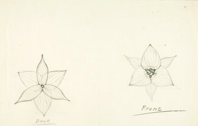 Framework of the Flower by Solon H. Borglum