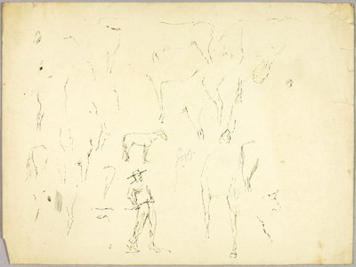 Horse Study by Solon H. Borglum