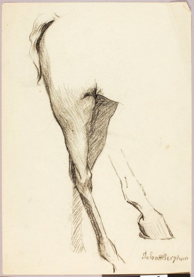 Horse Study by Solon H. Borglum