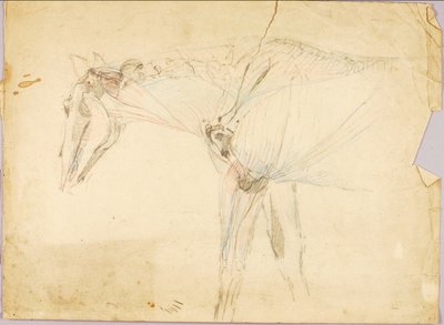 Horse Study by Solon H. Borglum