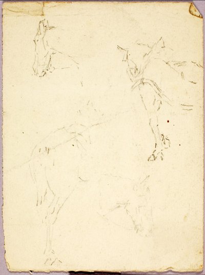 Horses by Solon H. Borglum
