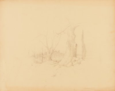 Landscape by Solon H. Borglum