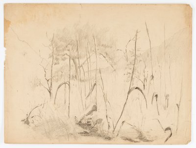 Landscape by Solon H. Borglum