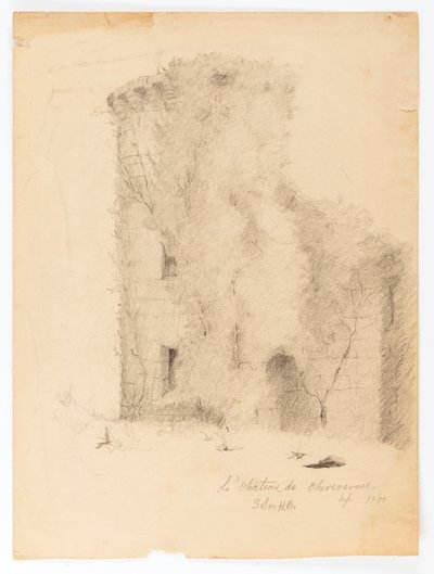 The Castle of Chevenevase by Solon H. Borglum
