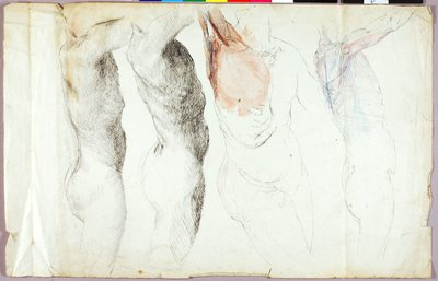 Nude Studies by Solon H. Borglum