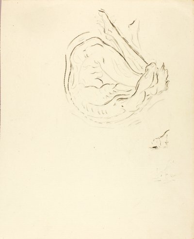 Swimmer by Solon H. Borglum