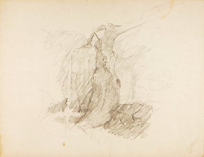 Untitled by Solon H. Borglum