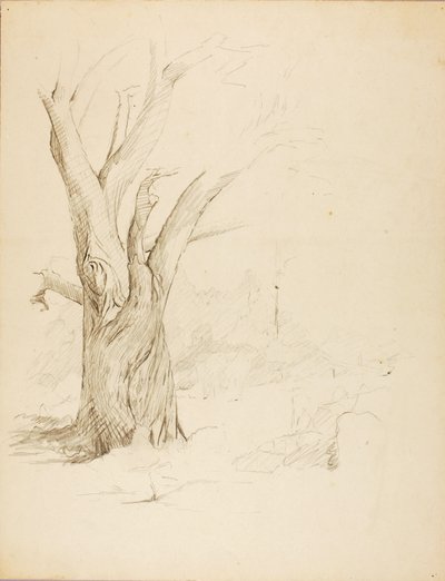 Untitled by Solon H. Borglum