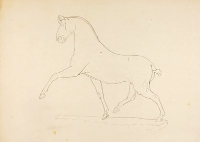 Untitled by Solon H. Borglum