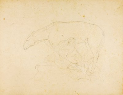 Untitled by Solon H. Borglum