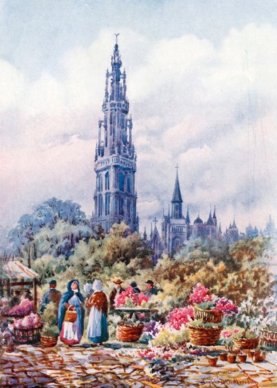 Cathedral and Place Verte, Antwerp by Sophie D