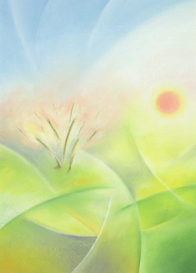 Spring by Sophie Hacker