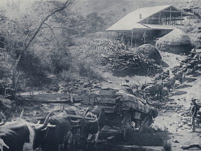 A Wagon Break-down, Scotsman Reef, Baberton by South African Photographer