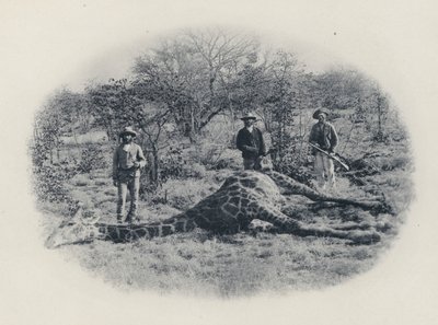 Big Game Hunting in the Transvaal (black and white photo) by South African Photographer