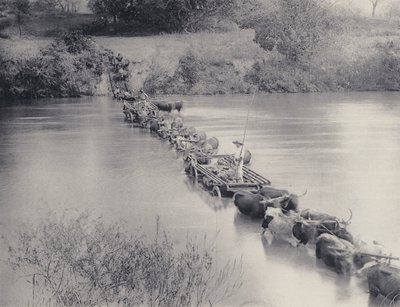 How Rivers are crossed in the Transvaal by South African Photographer
