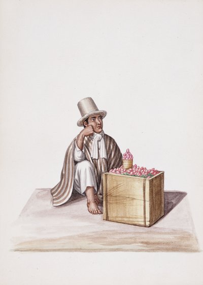 Types and Costumes of New Granada by South American School