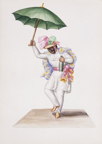 Types and Costumes of New Granada by South American School