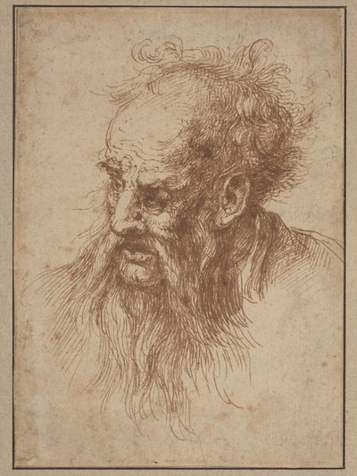 An Elderly Man with a Flowing Beard by Spanish 17th Century