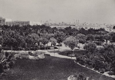 Cadiz: Genoves Park by Spanish Photographer