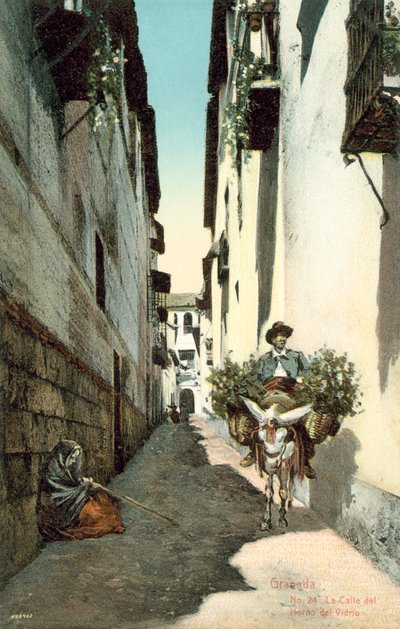 Granada, La Calle Del Horno Del Vidrio, Spain by Spanish Photographer