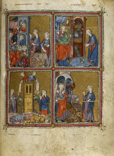 Scenes from Exodus: The plagues of lice, frogs, murrain and pestilence, illustrations from 