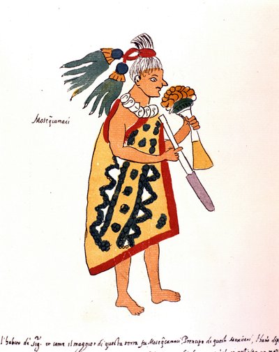 Aztec priest in Codex Vaticanus 3738. Facsimile of the manuscript by Dominican Pedro de los Rios, between 1570 and 1589, Bibl. Vatican. by Spanish School