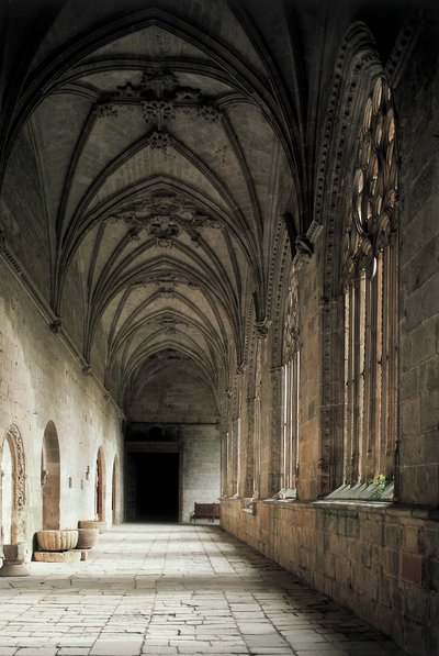Cloister of the Cathedral of Holy Mary of the Assumption by Spanish School
