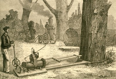 Cutting Trees Using Vapour Machines in the Late 19th Century by Spanish School
