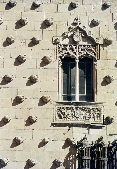 Exterior of the Casa de la Conchas (detail) by Spanish School