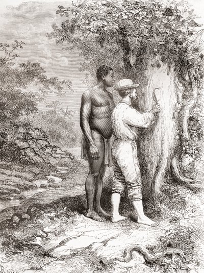 Jules Crevaux Carving His Initials on a Tree on the Banks of the Oyapock River by Spanish School