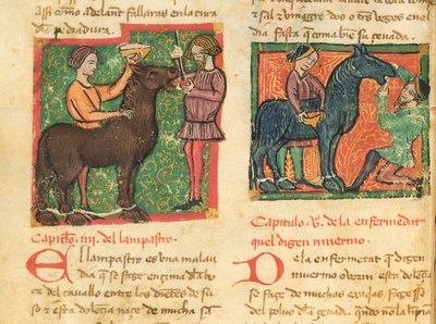 Curing Glossitis in a Horse, from Libro de Menescalcia y Albeyteria by Juan Alvarez by Spanish School