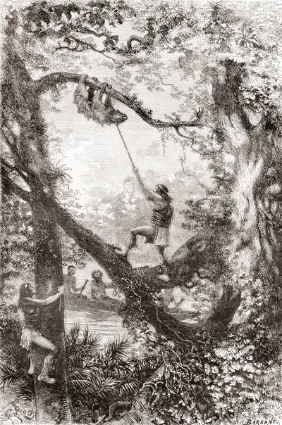 Native Indians capturing a tree sloth on the Oyapock or Oiapoque River, South America by Spanish School