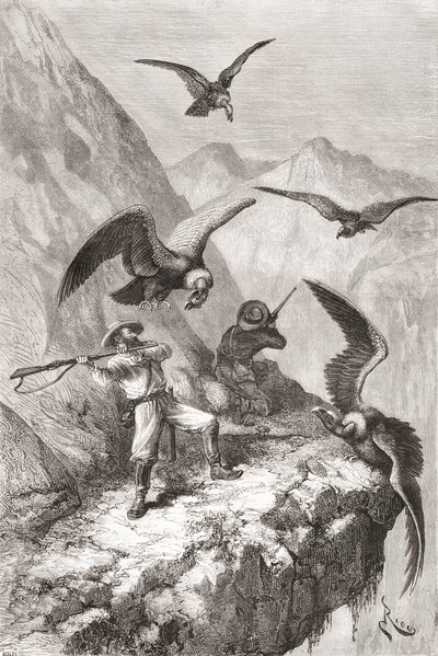 Édouard François André Attacked by Condors Near Calacali by Spanish School