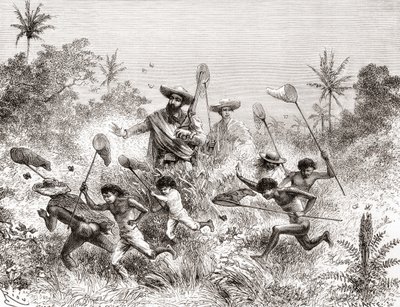 Édouard François André Catching Butterflies in Villavicencio by Spanish School