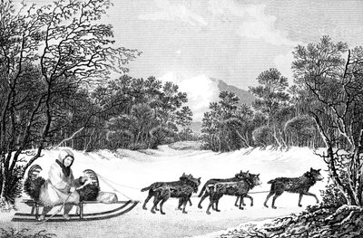 The Manner of Travelling in Winter in Kamtschatka by Sparrow
