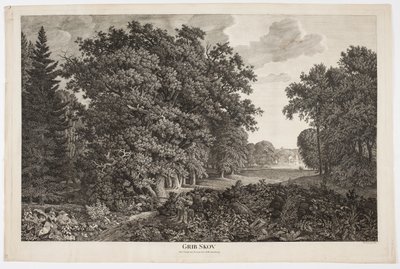 Grib Forest with View over Esrum Lake to Fredensborg by Søren Henrik Petersen