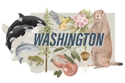 Washington State Symbols by Stacy Hsu