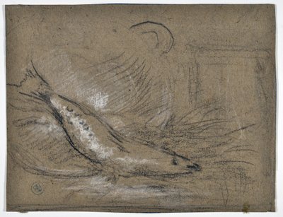 Fish Study by Stanislas Torrents y de Amat