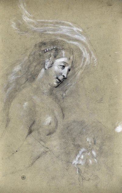 Study of Profile of Woman by Stanislas Torrents y de Amat