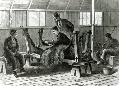 Taking Virus from the Calf, Illustration from 