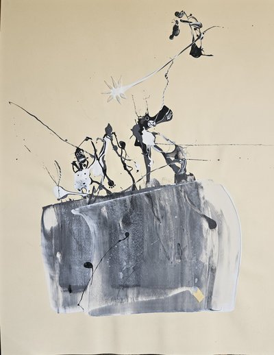 Abstract Starburst Figures by Stefano Mazzolini