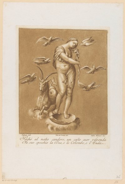 Venus Anadyomene (series title: Ceiling Paintings of the Loggia di Galatea in the Villa Farnesina in Rome) by Stefano Mulinari