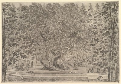 A Large Inhabited Tree in Center with Ramps Leading Around the Trunk by Stefano della Bella