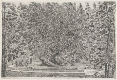The Inhabited Tree in the Garden of Villa Pratolino by Stefano della Bella