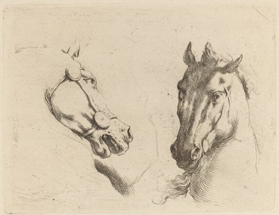 Head of a Horse Seen in Profile and in Three-Quarters by Stefano della Bella