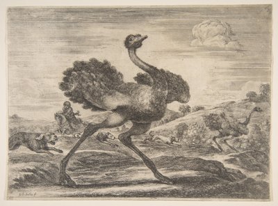 Ostrich Hunt, from Animal Hunts by Stefano della Bella